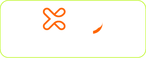 XPay 2