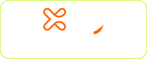 XPay 4